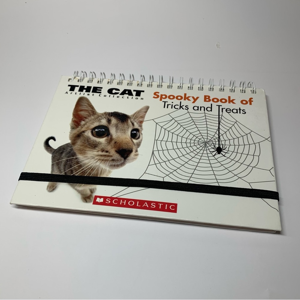 The Cat Halloween Spooky Scolastic Booklet